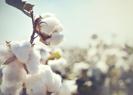 Financial Market Image