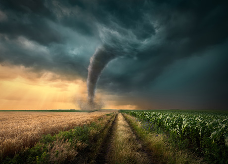 Financial Market Image